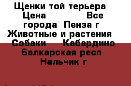 Щенки той терьера › Цена ­ 10 000 - Все города, Пенза г. Животные и растения » Собаки   . Кабардино-Балкарская респ.,Нальчик г.